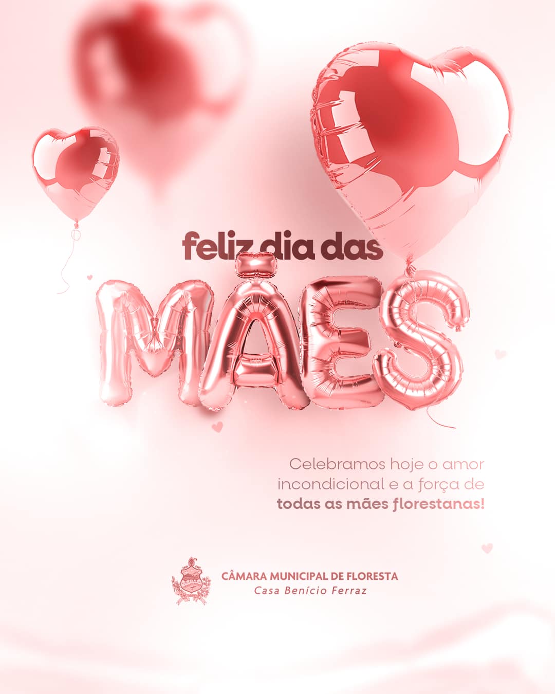 FELIZ DIA DAS MÃES!